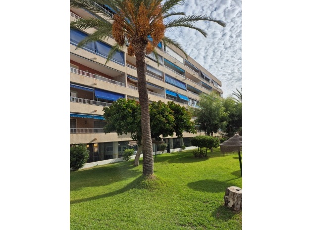 Appartement - Revente - Punta Prima - ESMA-71974