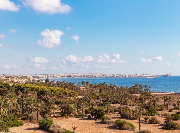 Appartement - Revente - Punta Prima - Punta Prima