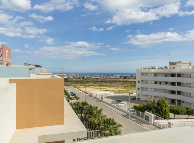 Appartement - Revente - Villamartin - Los Dolses