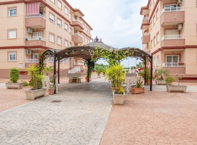 Appartement - Wederverkoop - Algorfa - res cecilia