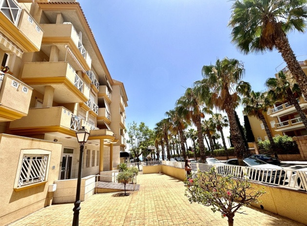 Appartement - Wederverkoop - Orihuela - CSP-58966