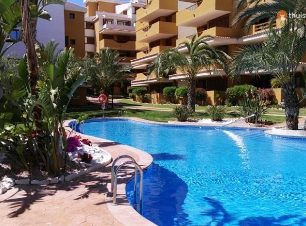 Appartement - Wederverkoop - Punta Prima - la entrada