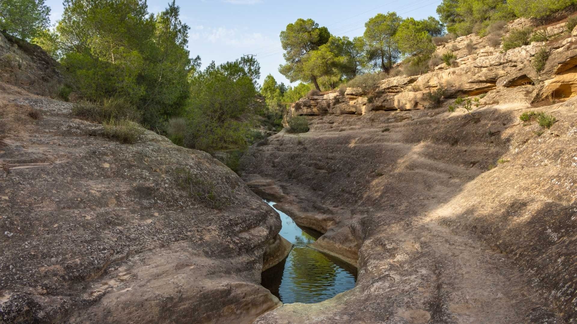 Återförsäljning - Bungalow - Algorfa - La Finca Golf