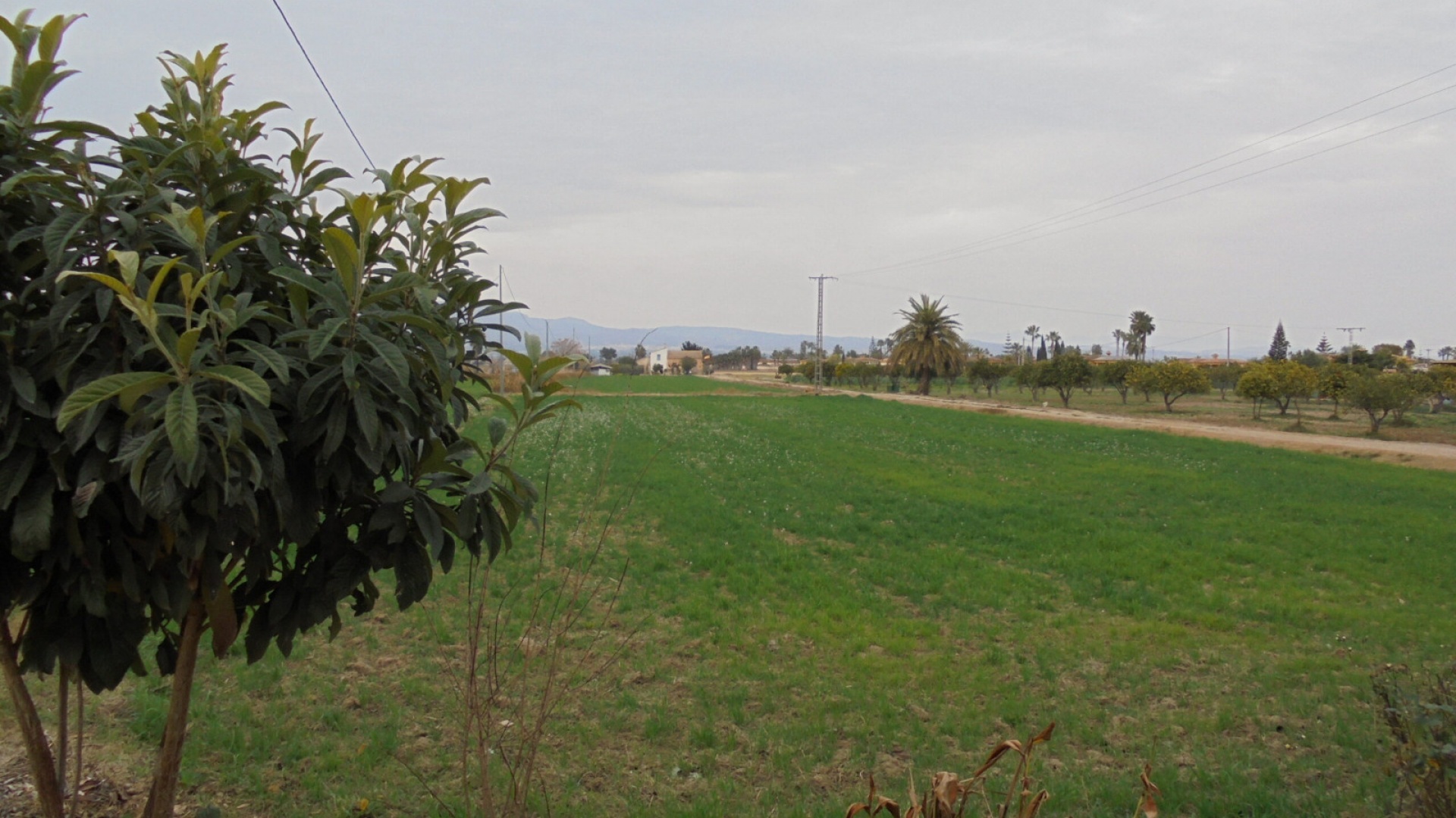 Återförsäljning - Bungalow - Catral