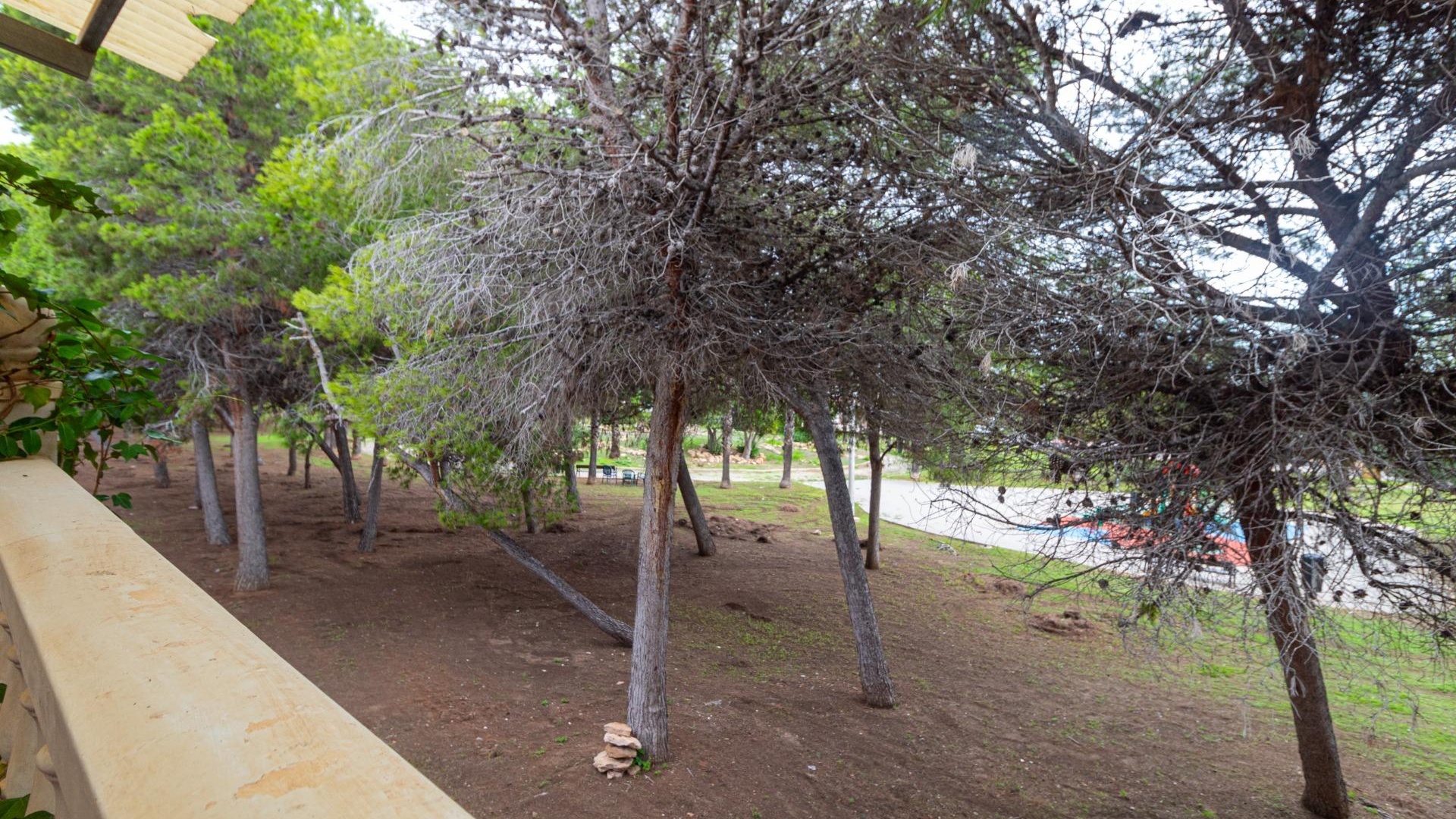 Återförsäljning - Bungalow - Punta Prima - serena