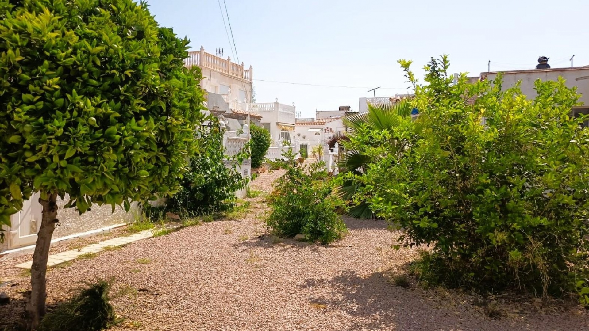 Återförsäljning - Bungalow - Torrevieja - el chaparral