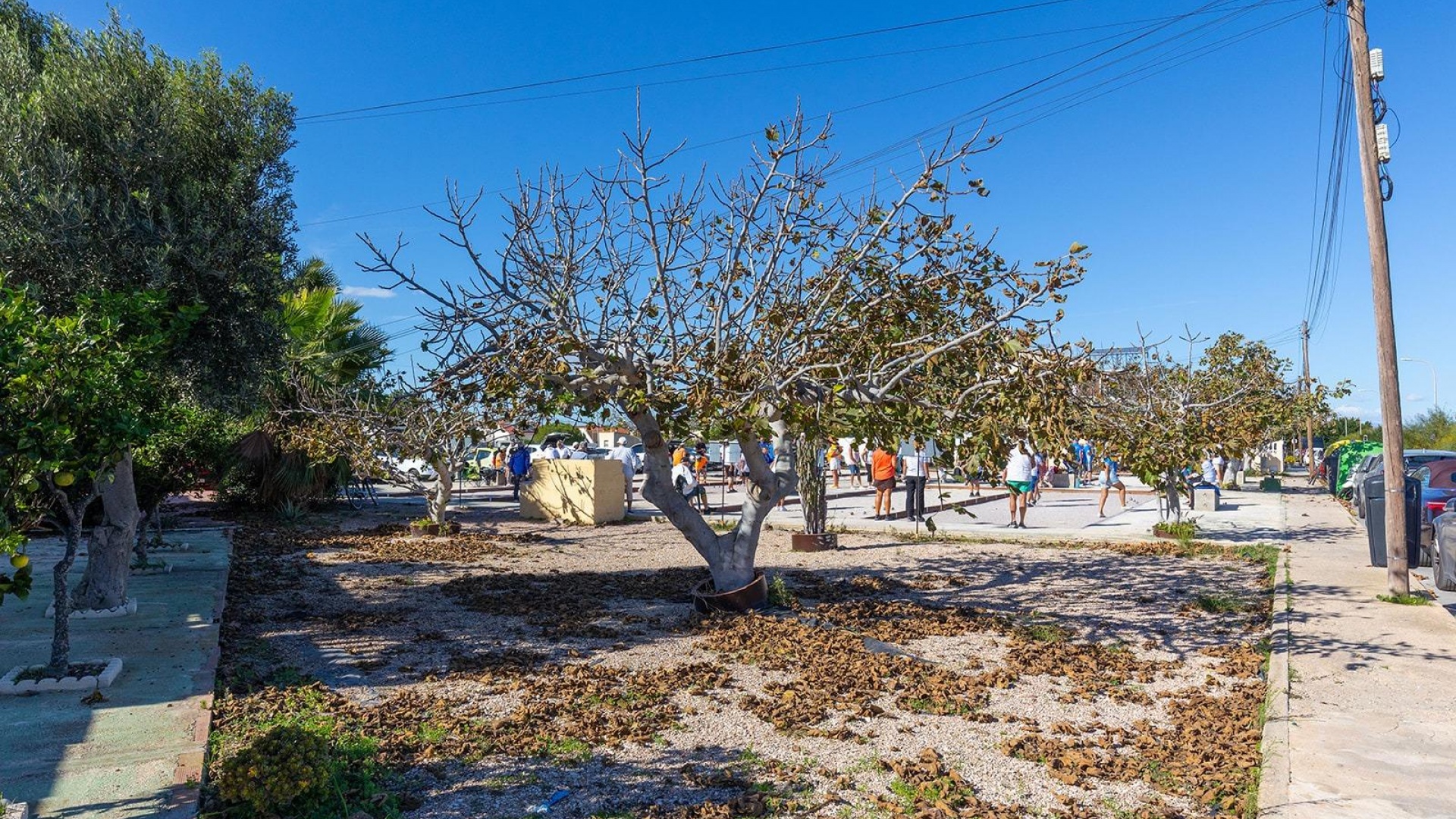 Återförsäljning - Bungalow - Torrevieja - torreta