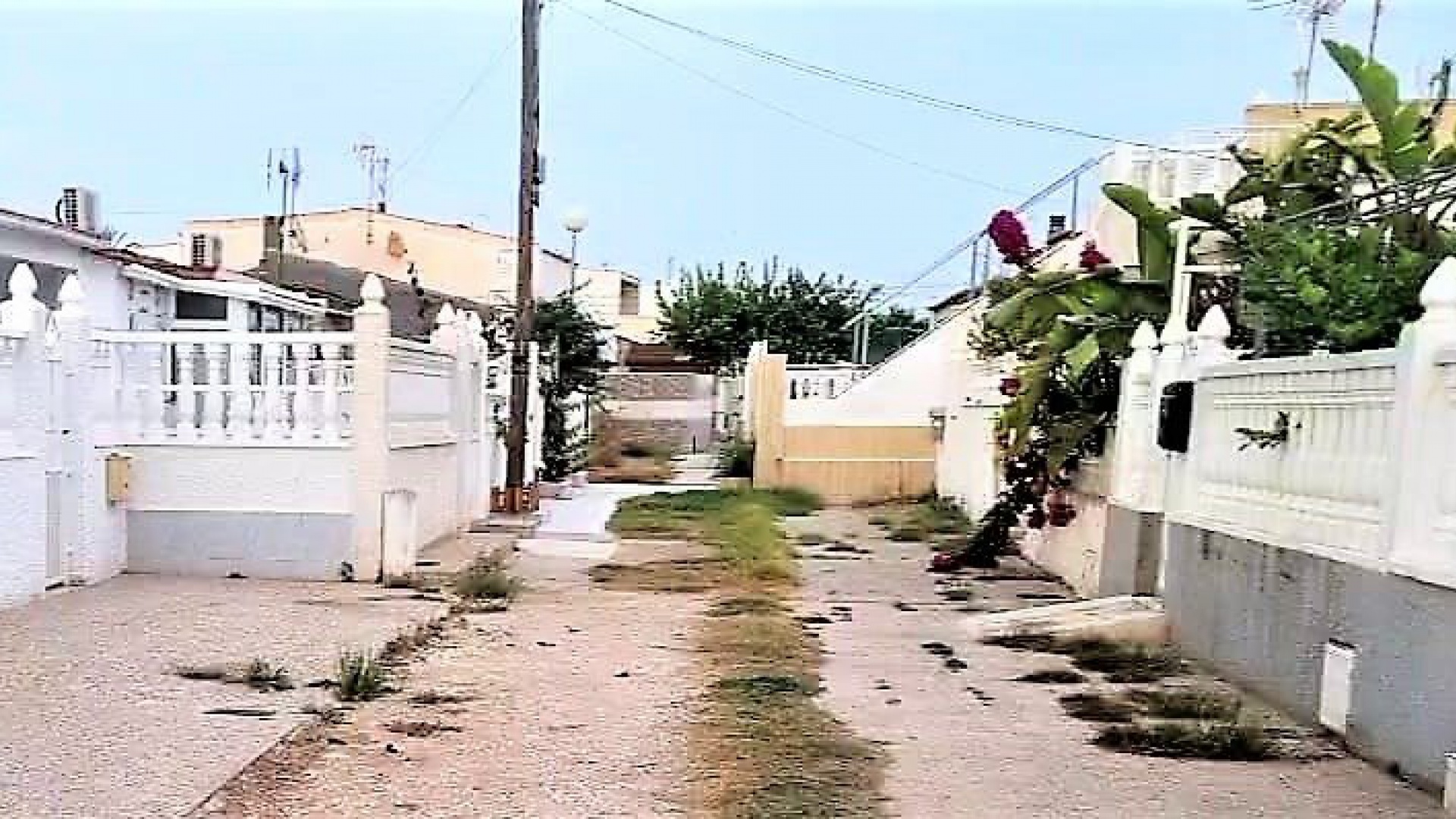 Återförsäljning - Bungalow - Torrevieja - torreta