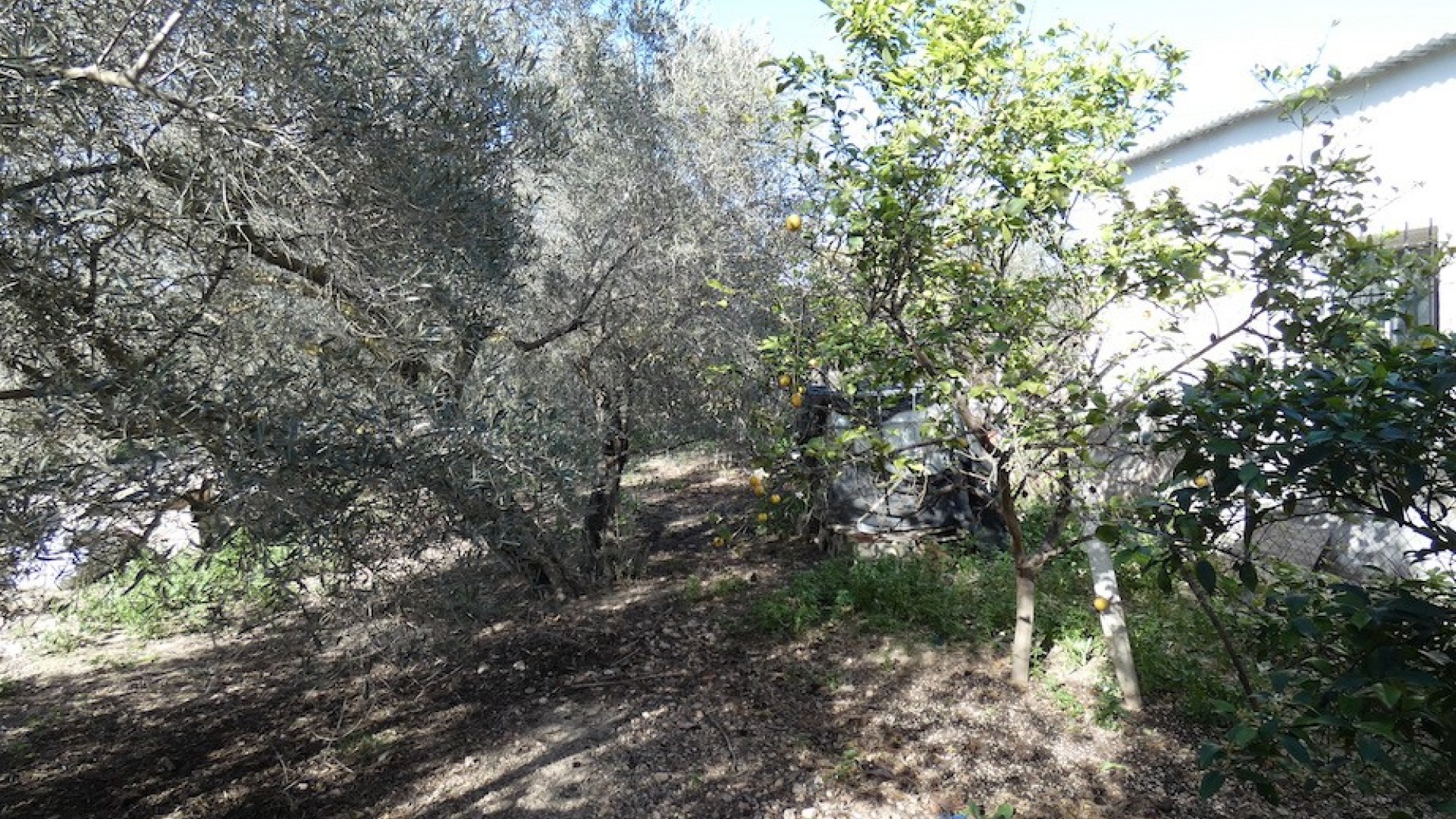 Återförsäljning - Country Property - La Marina