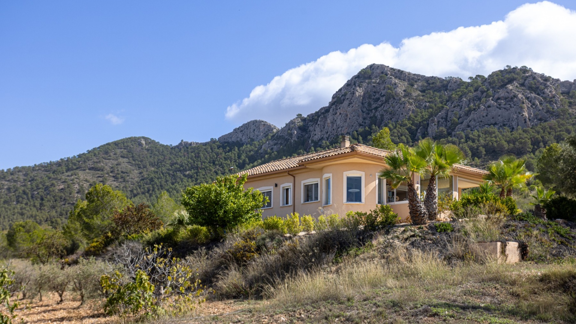 Återförsäljning - Country Property - La Zarza - La Zarza Murcia