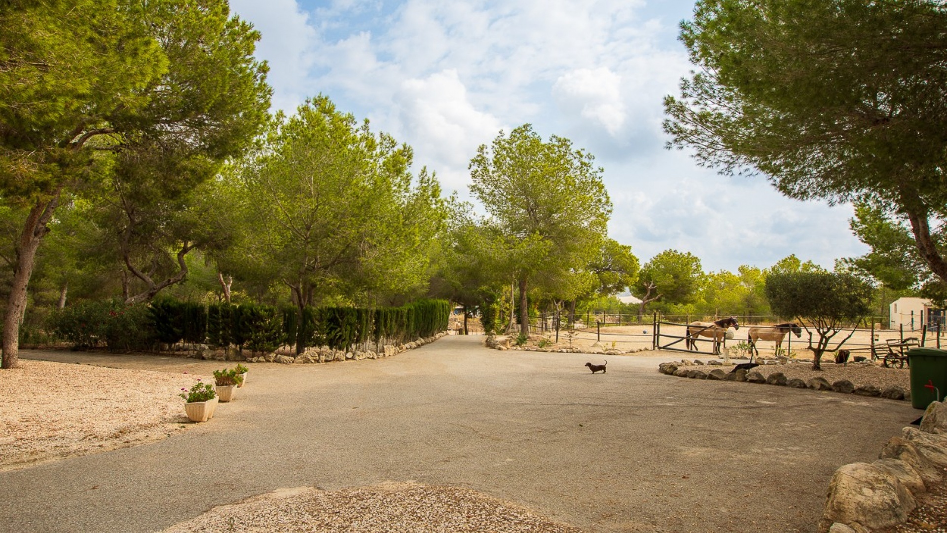 Återförsäljning - Country Property - Torremendo - torremendo