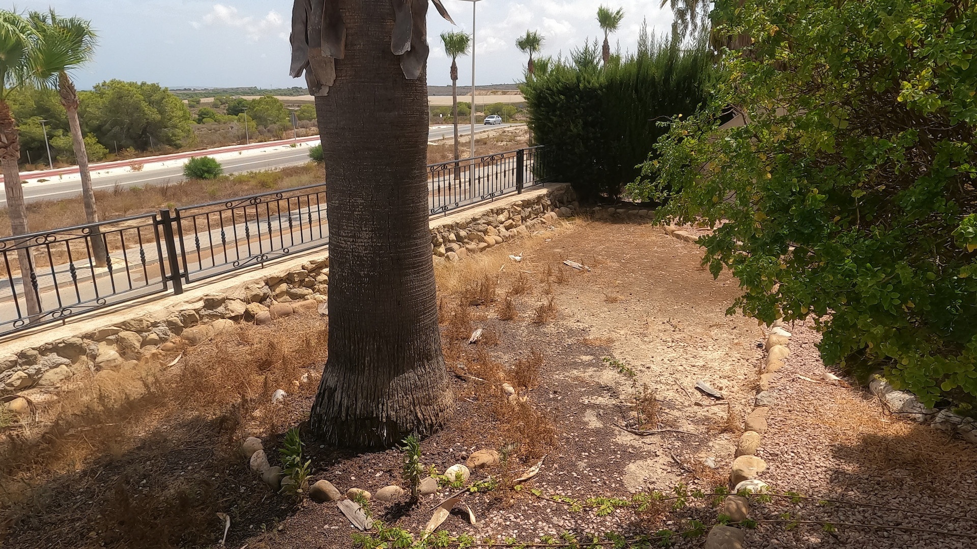 Återförsäljning - Lägenhet - Algorfa - La Finca Golf Resort