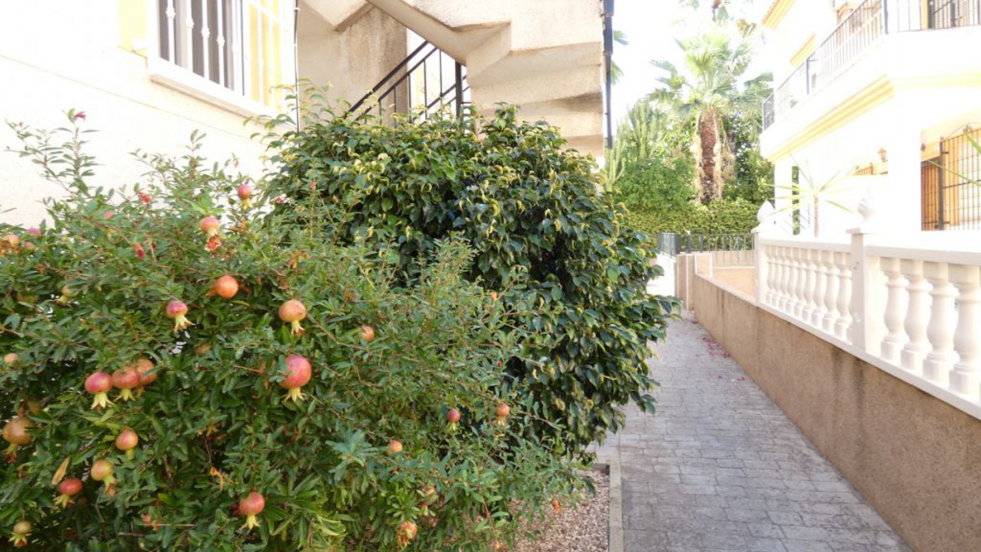 Återförsäljning - Lägenhet - Algorfa - Montemar