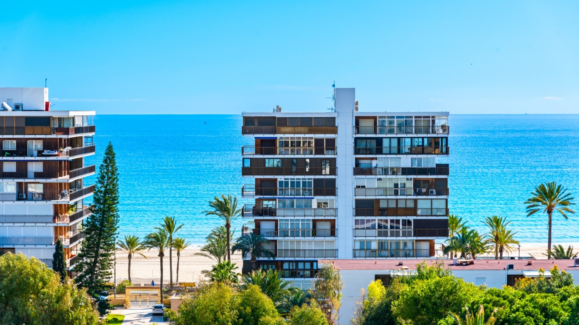 Återförsäljning - Lägenhet - Alicante - Playa San Juan