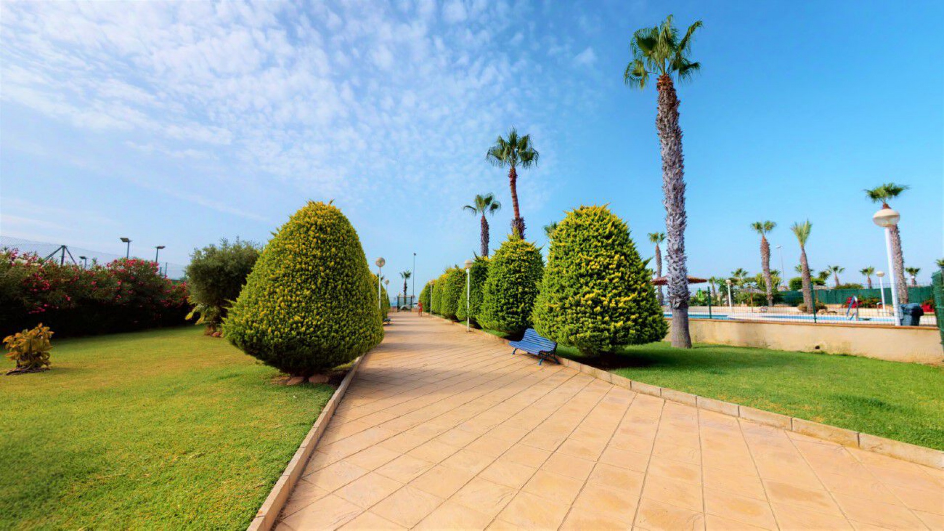 Återförsäljning - Lägenhet - Cabo Roig - beachside cabo roig