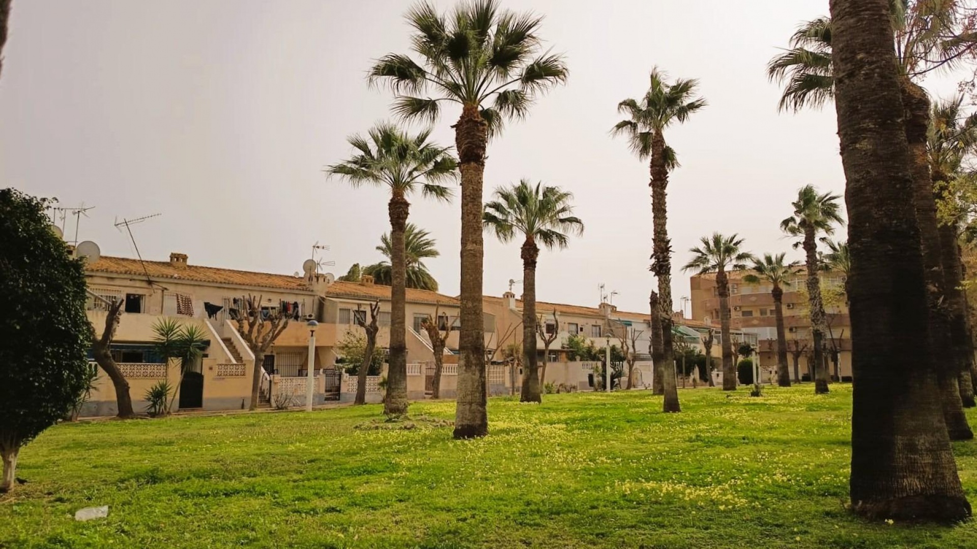 Återförsäljning - Lägenhet - Cabo Roig - la regia