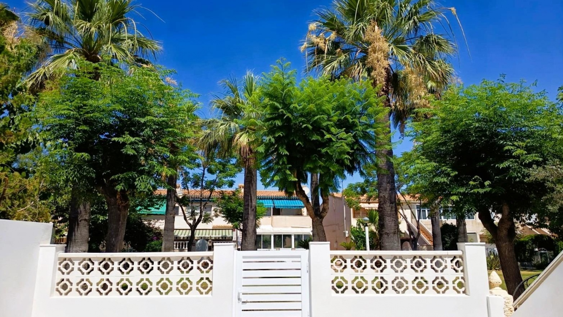 Återförsäljning - Lägenhet - Cabo Roig - la regia