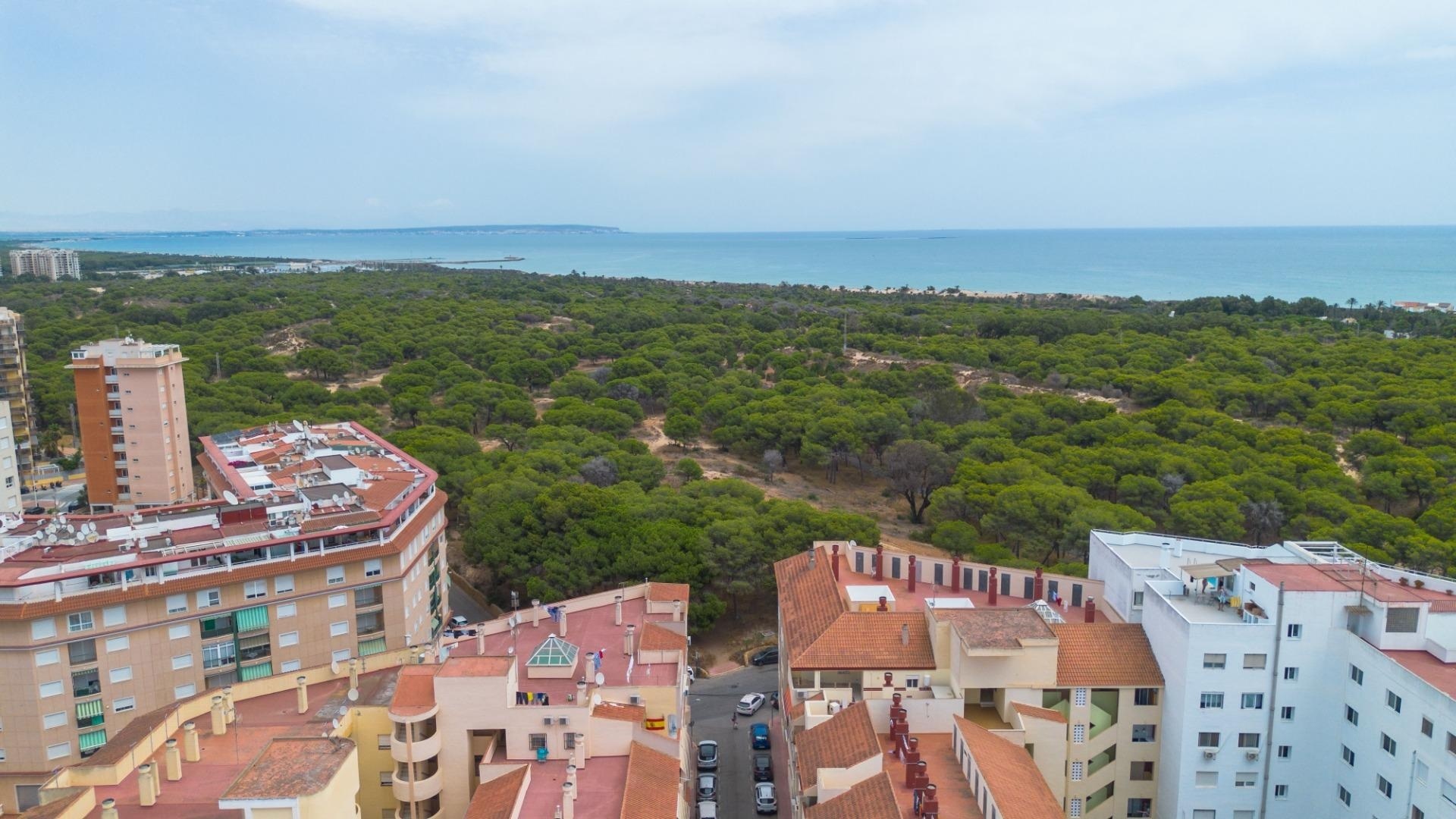 Återförsäljning - Lägenhet - Guardamar del Segura - Beachside, Guardamar del Segura