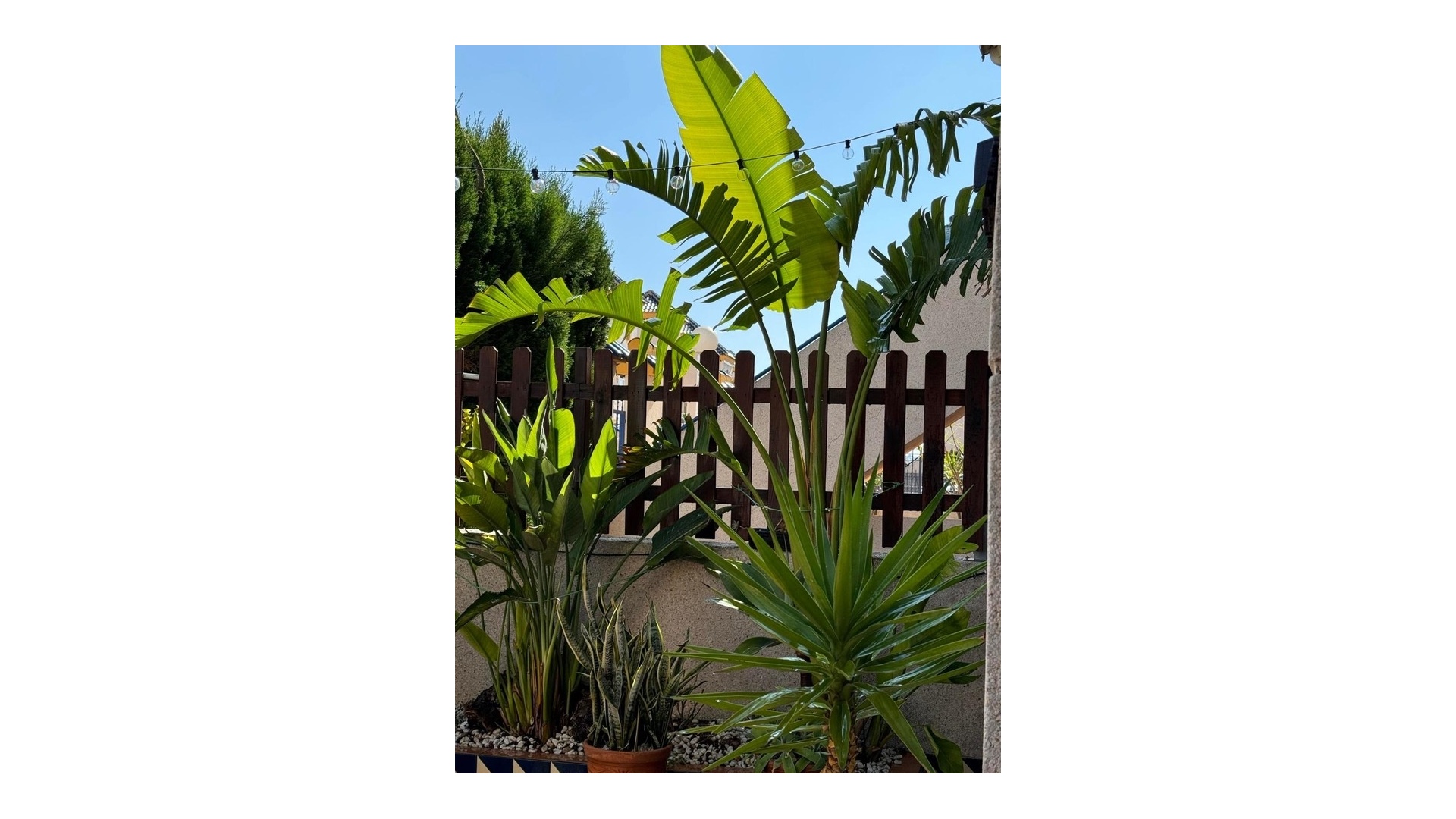 Återförsäljning - Lägenhet - Guardamar del Segura - el eden