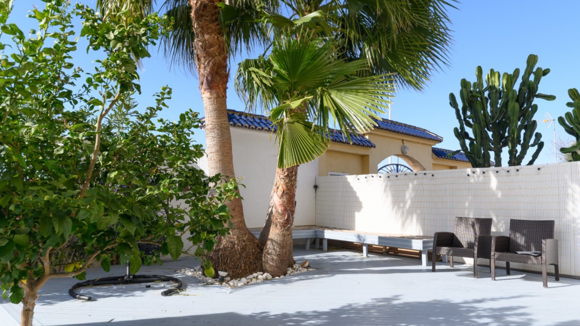 Återförsäljning - Lägenhet - La Mata - Beachside La Mata