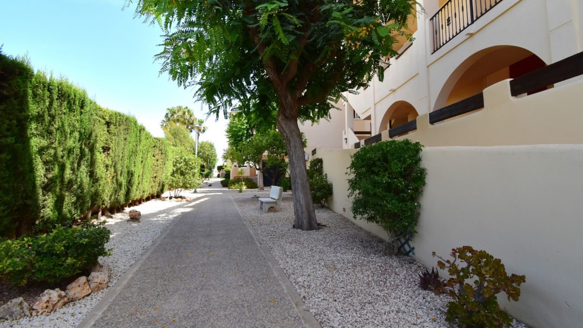 Återförsäljning - Lägenhet - Orihuela - Playa Flamenca