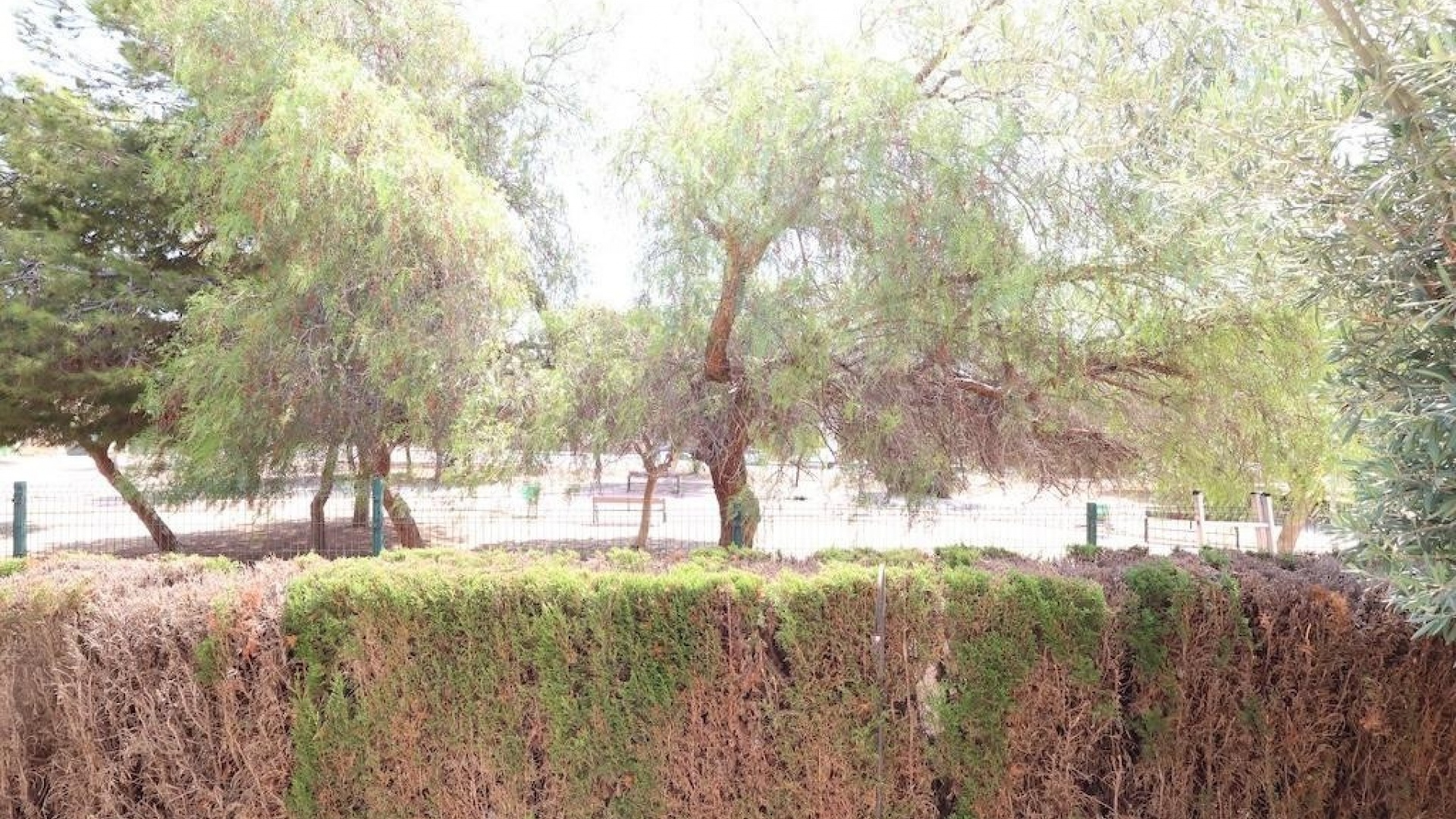 Återförsäljning - Lägenhet - Orihuela - Punta Prima