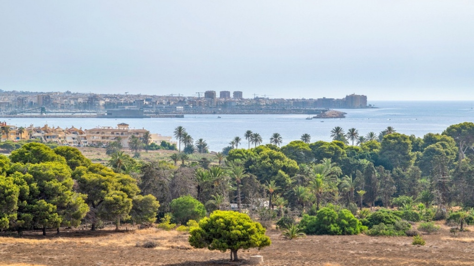 Återförsäljning - Lägenhet - Orihuela - Punta Prima