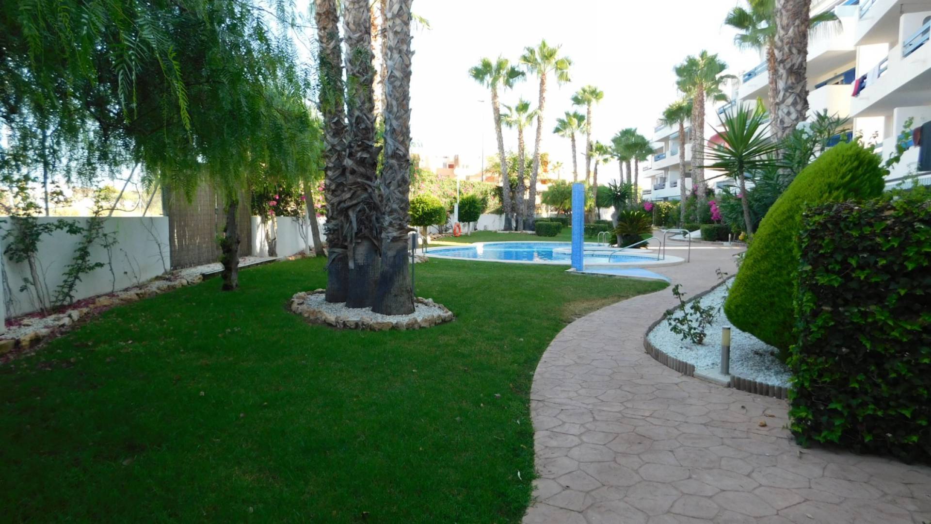 Återförsäljning - Lägenhet - Playa Flamenca - la calma