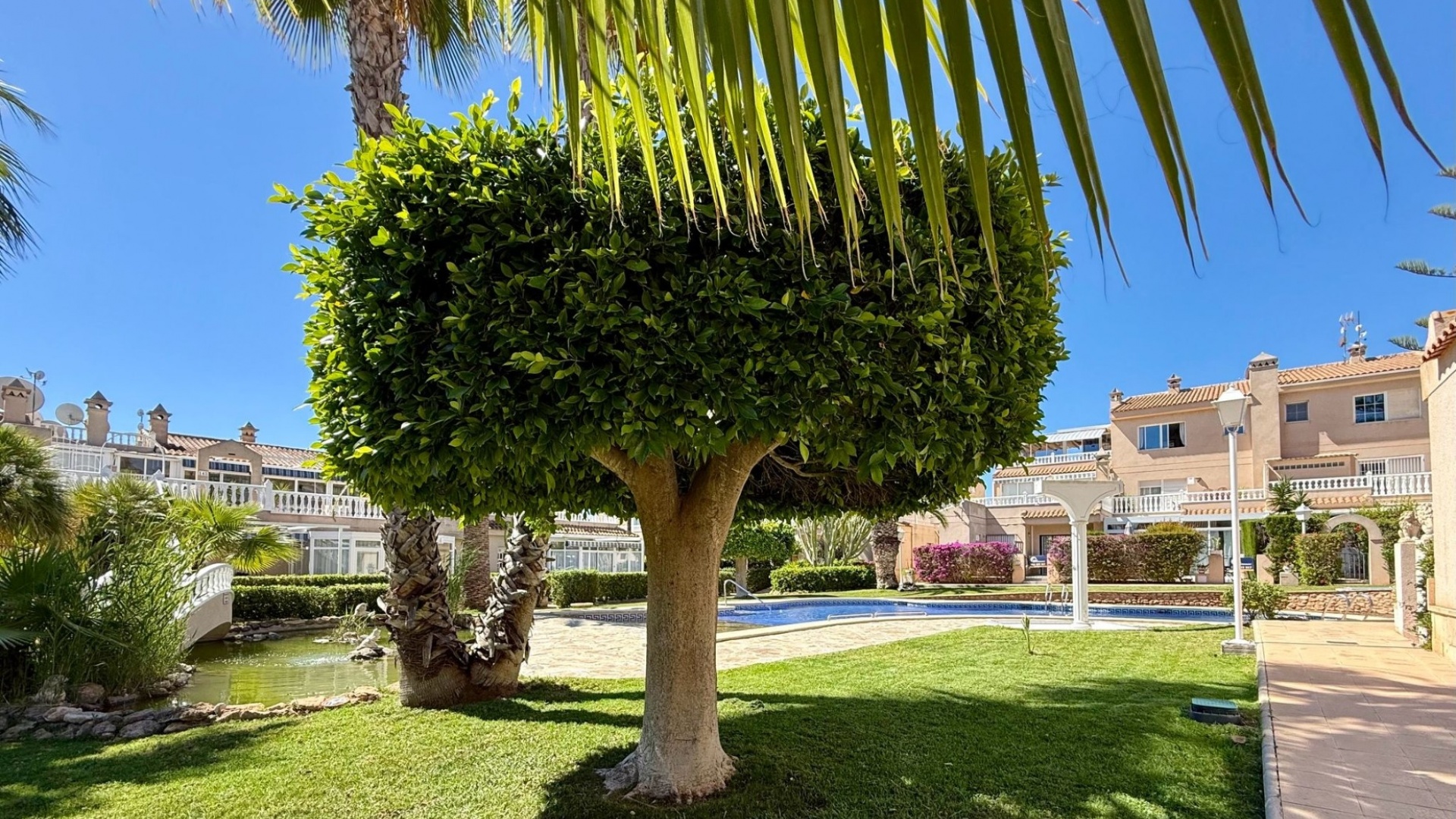Återförsäljning - Lägenhet - Playa Flamenca - miraflores