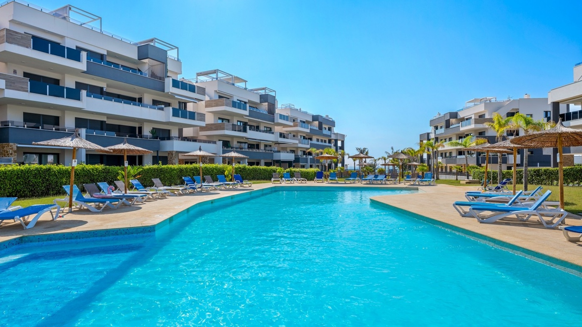 Återförsäljning - Lägenhet - Playa Flamenca - Res. Sunrise Deluxe