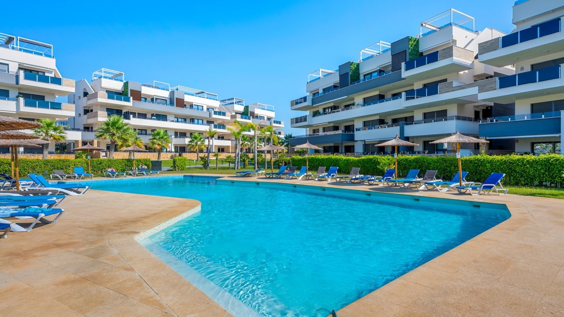 Återförsäljning - Lägenhet - Playa Flamenca - Res. Sunrise Deluxe