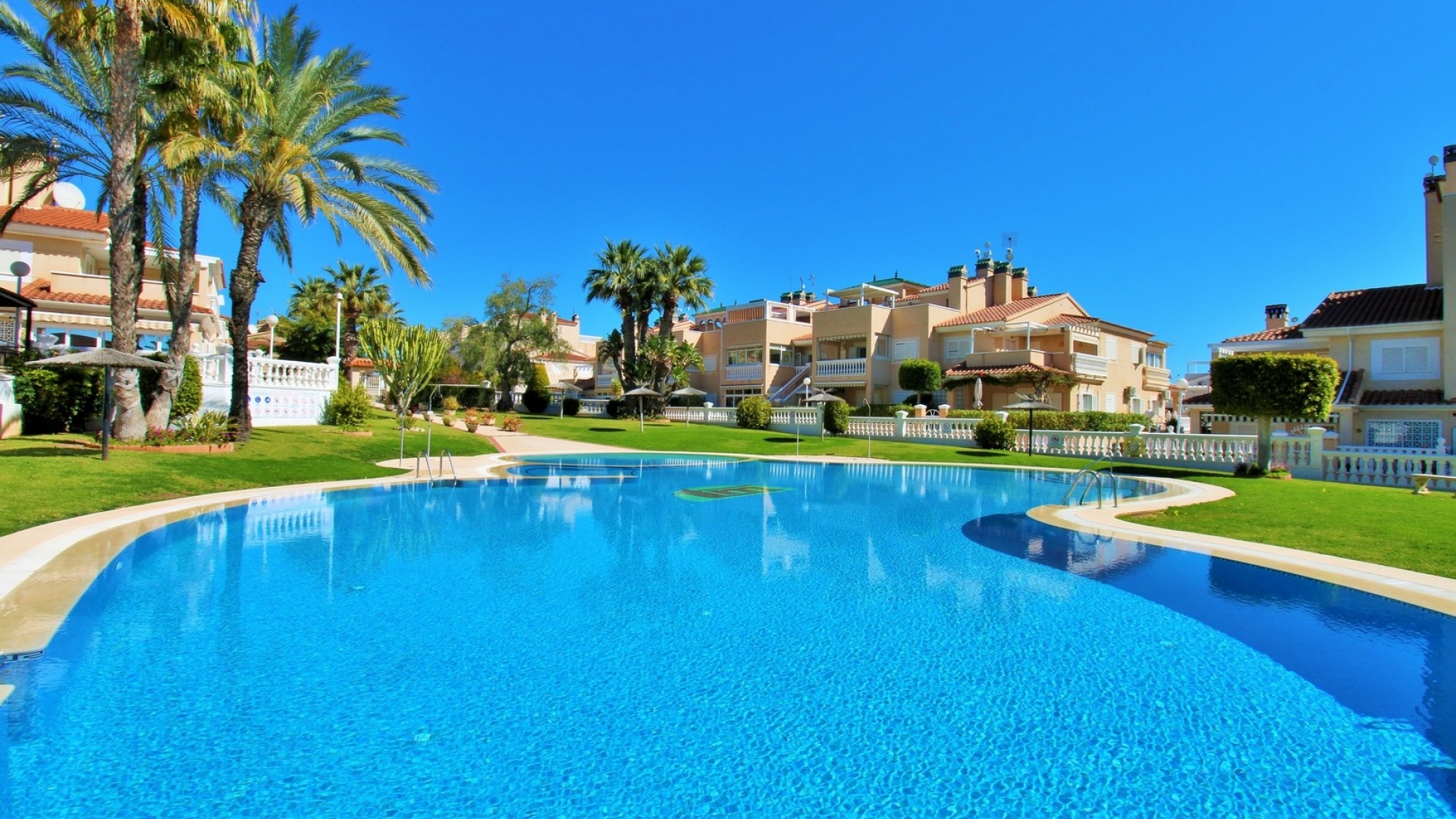 Återförsäljning - Lägenhet - Playa Flamenca - zeniamar