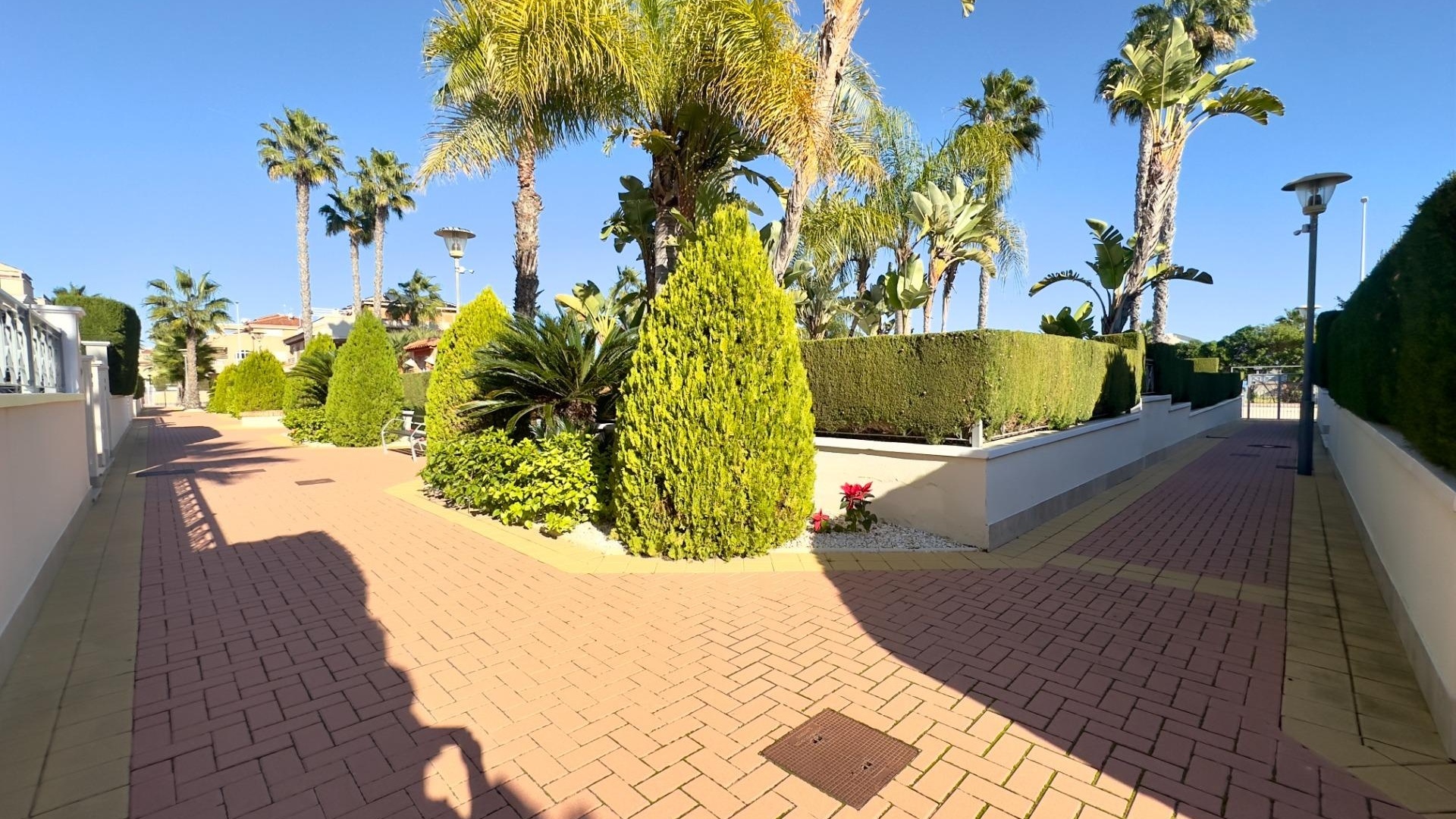 Återförsäljning - Lägenhet - Playa Flamenca - zeniamar