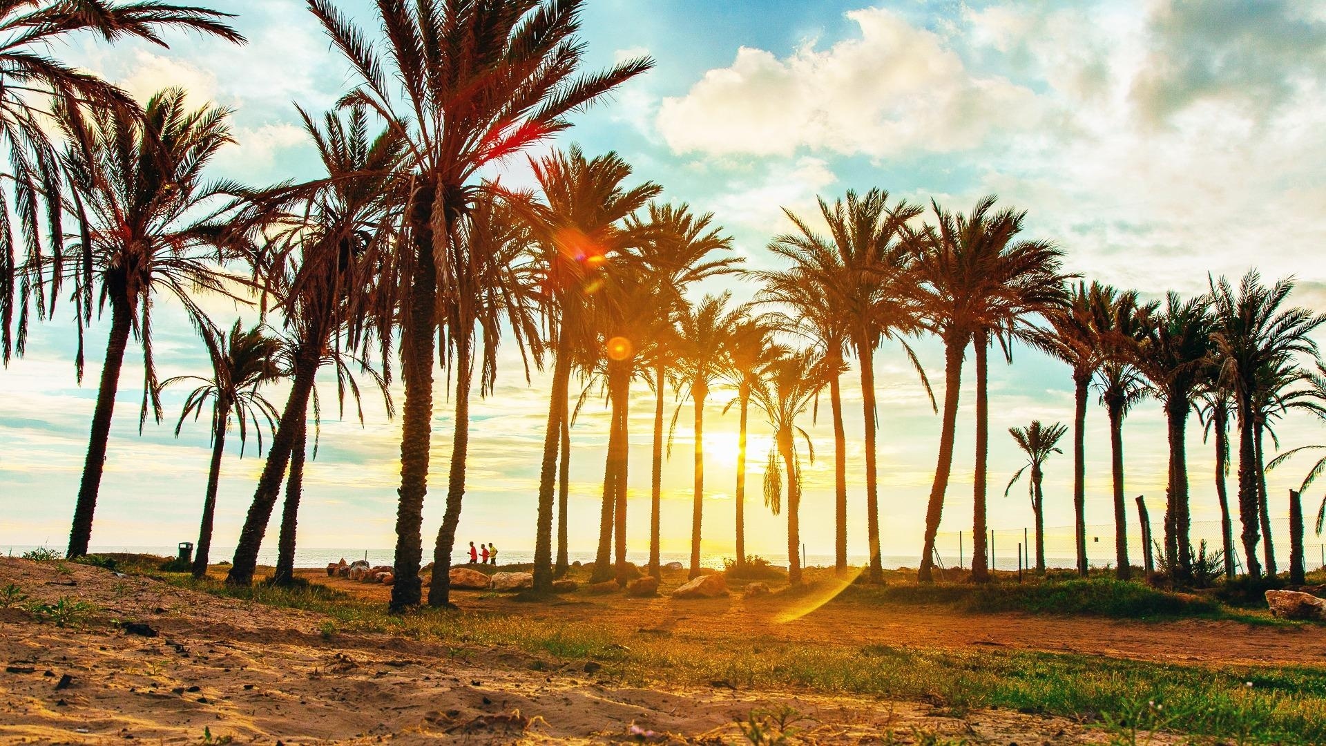 Återförsäljning - Lägenhet - Punta Prima - beachside punta prima