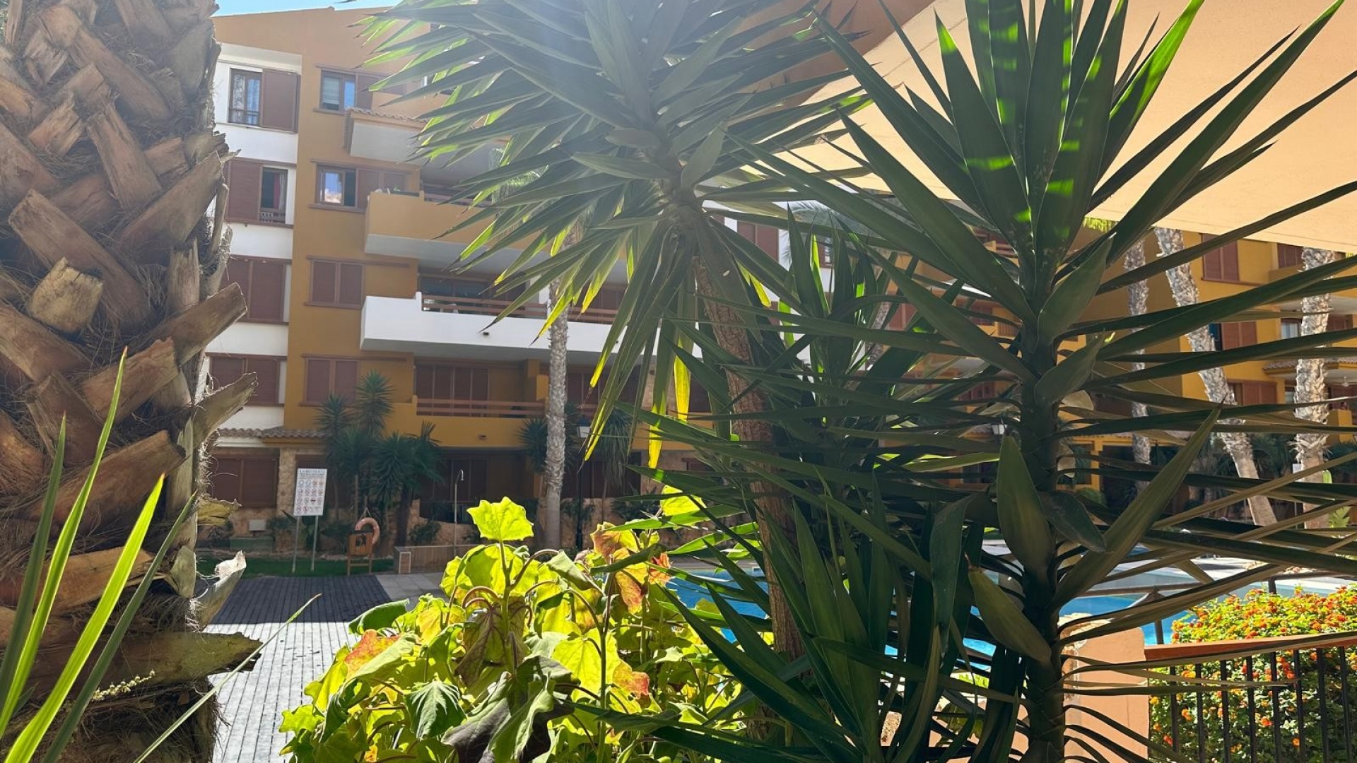 Återförsäljning - Lägenhet - Punta Prima - La Recoleta