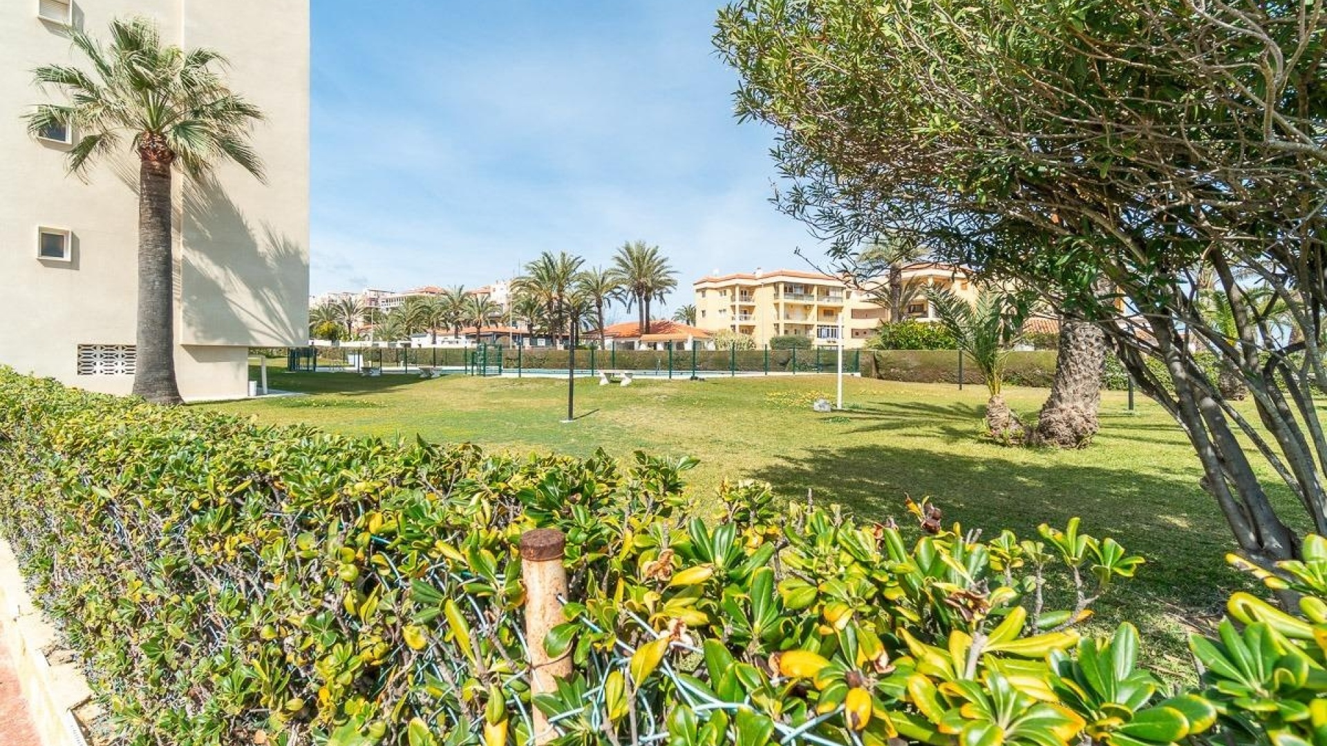 Återförsäljning - Lägenhet - Punta Prima - rocio del mar