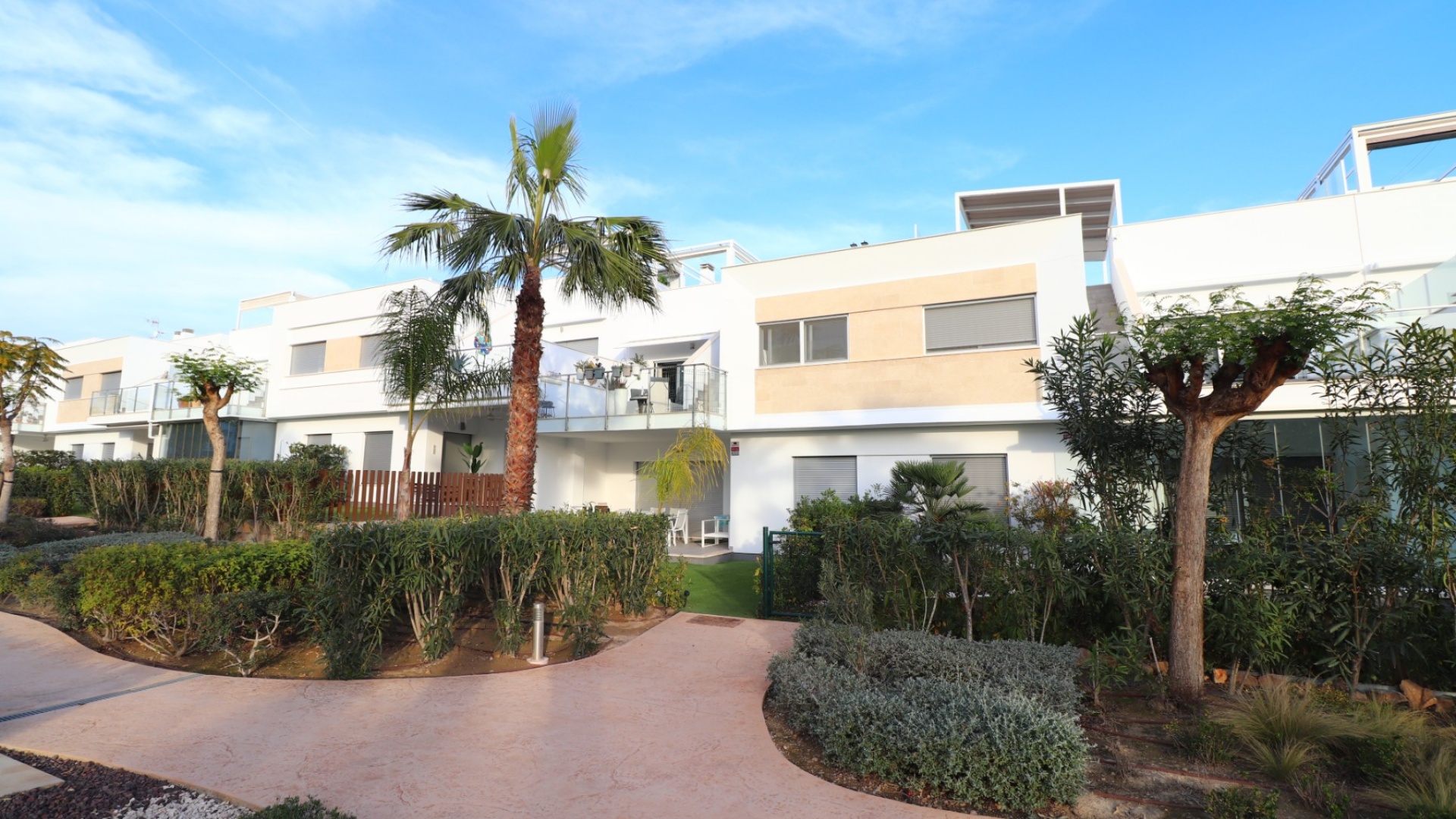 Återförsäljning - Lägenhet - San Miguel de Salinas - Capri Apartments