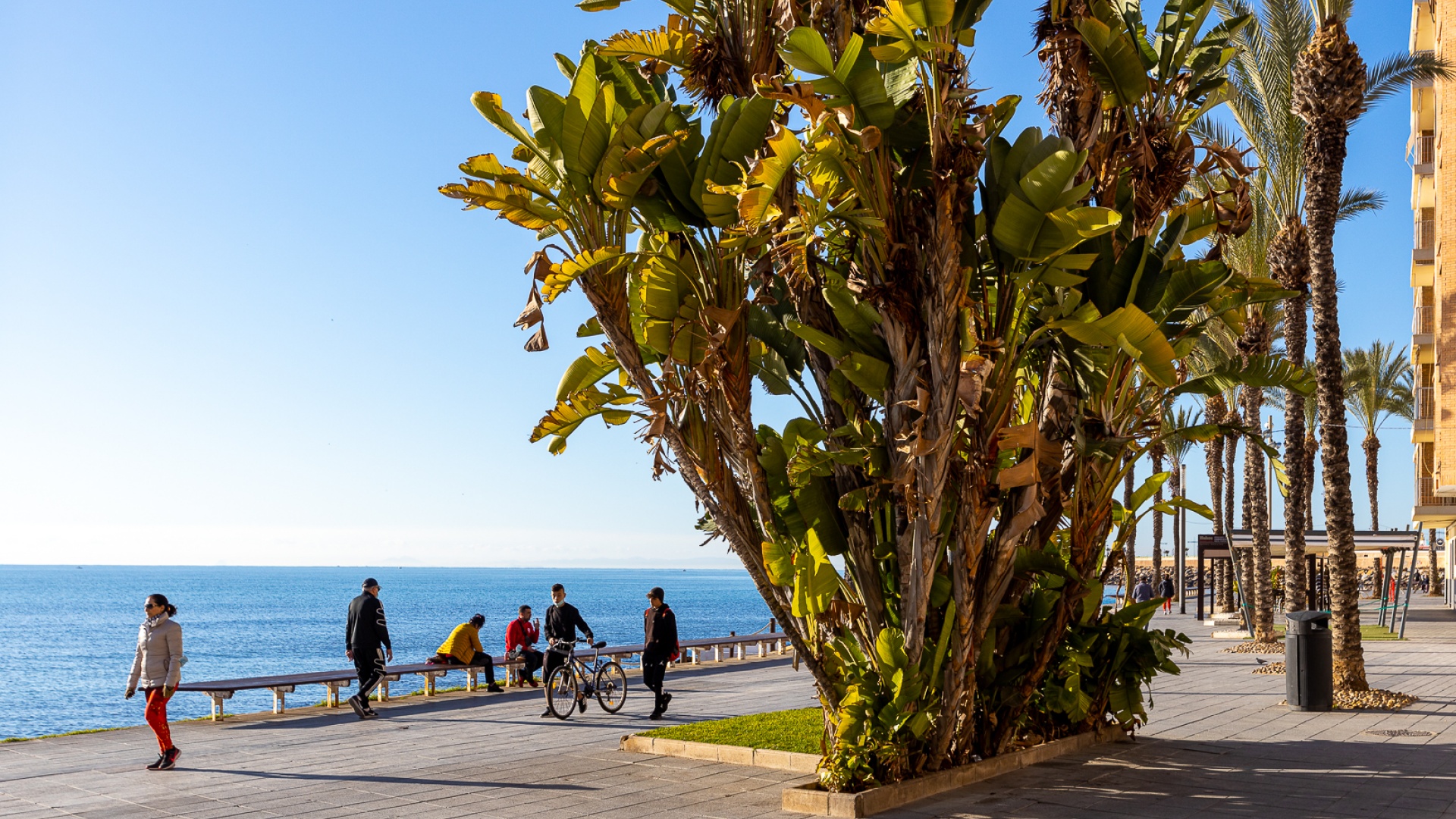 Återförsäljning - Lägenhet - Torrevieja - altos del limonar