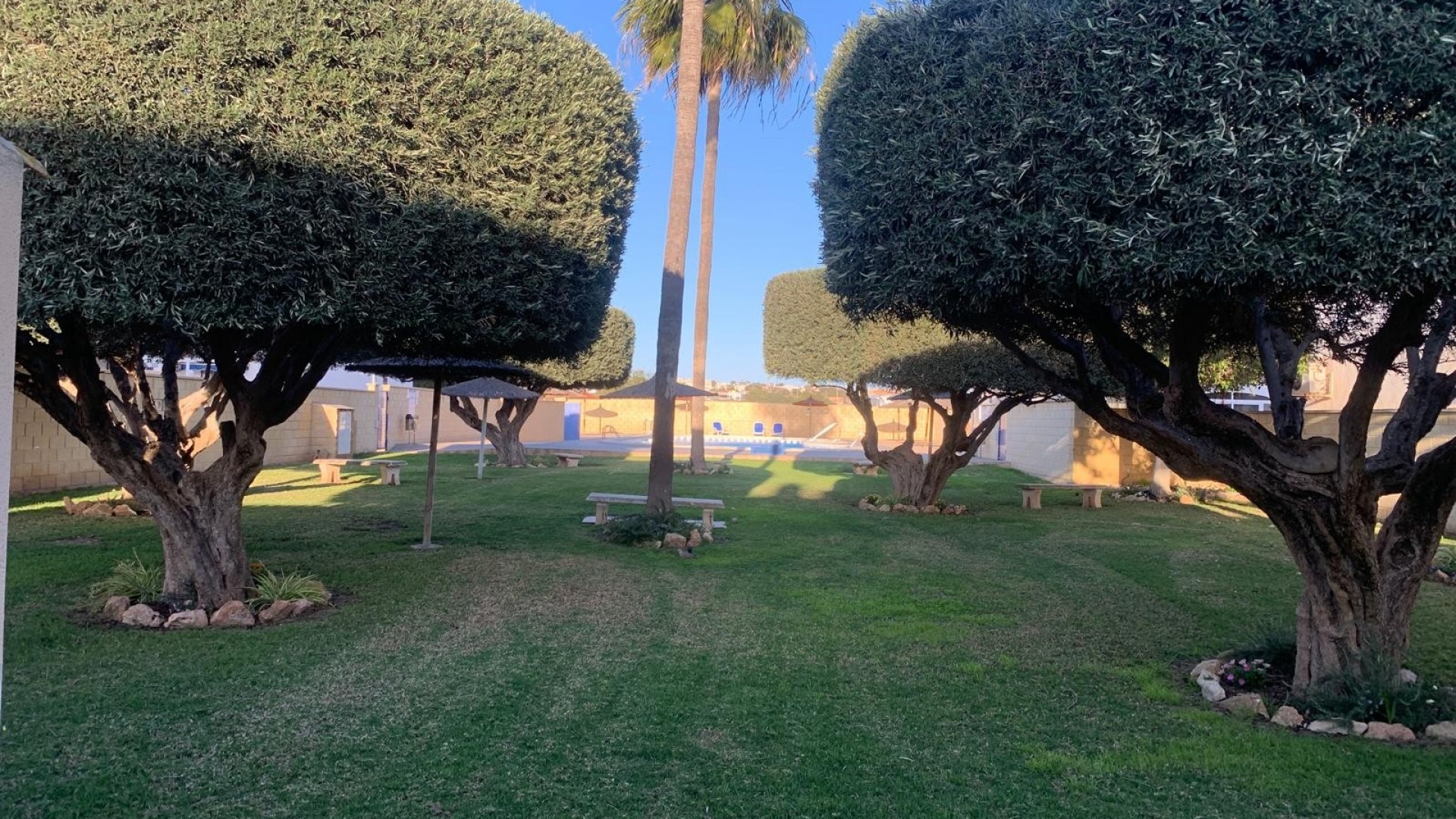 Återförsäljning - Lägenhet - Torrevieja - Jardin del Mar