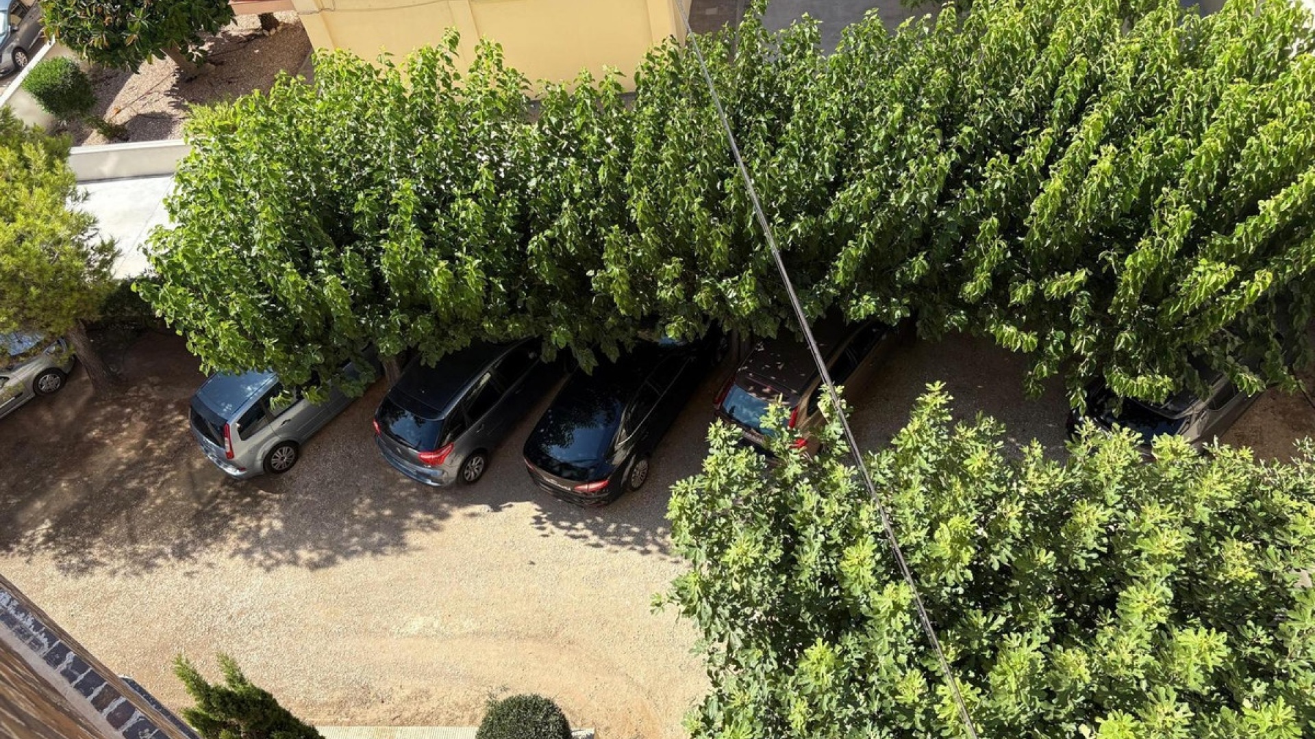 Återförsäljning - Lägenhet - Torrevieja - La Mata