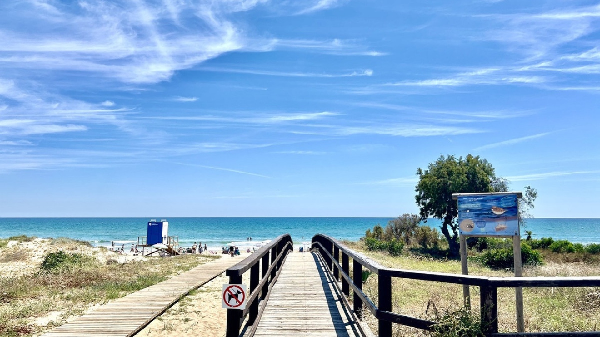 Återförsäljning - Lägenhet - Torrevieja - La Mata