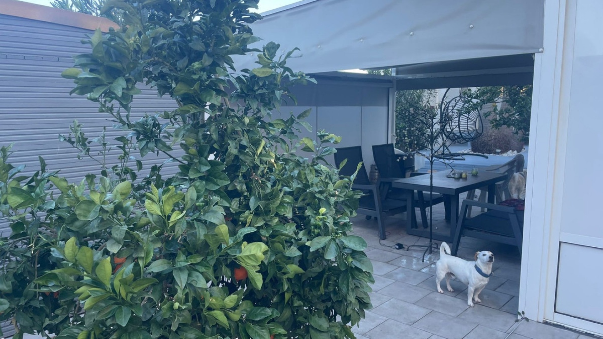 Återförsäljning - Lägenhet - Torrevieja - La Mata
