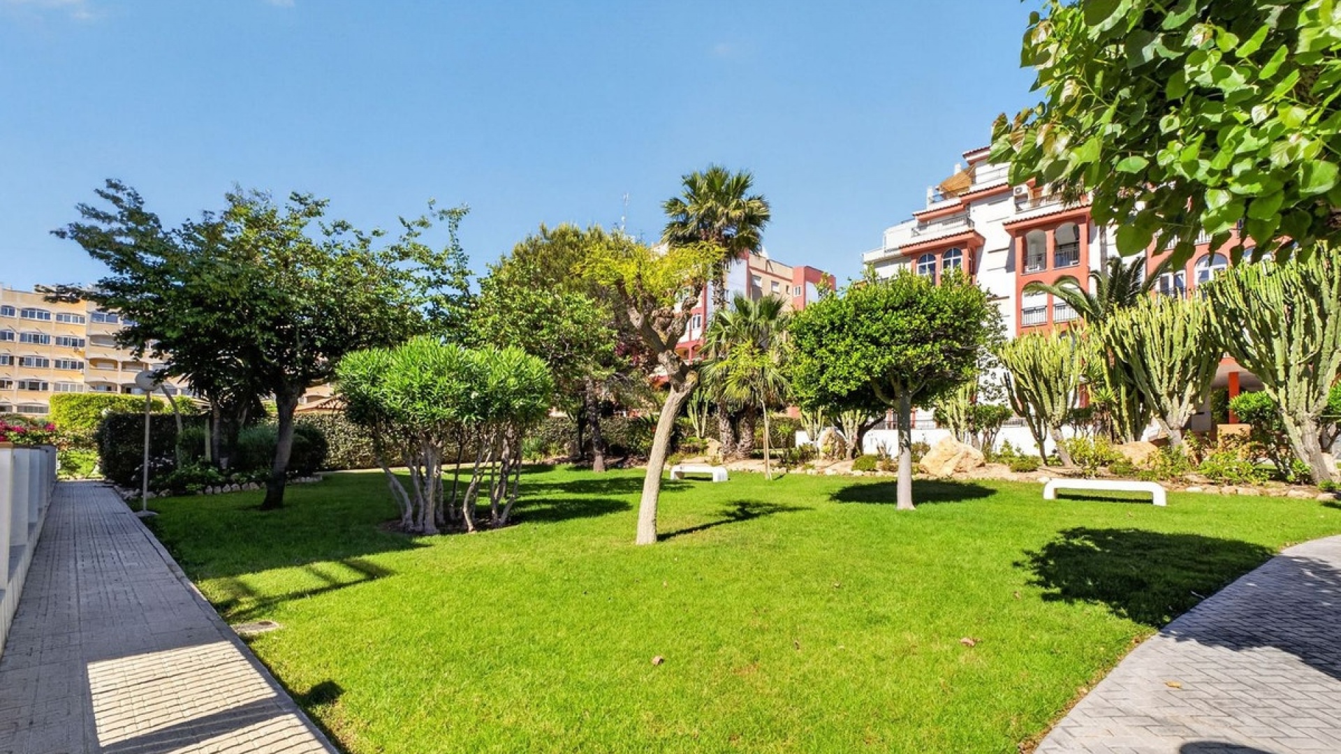 Återförsäljning - Lägenhet - Torrevieja - La Mata