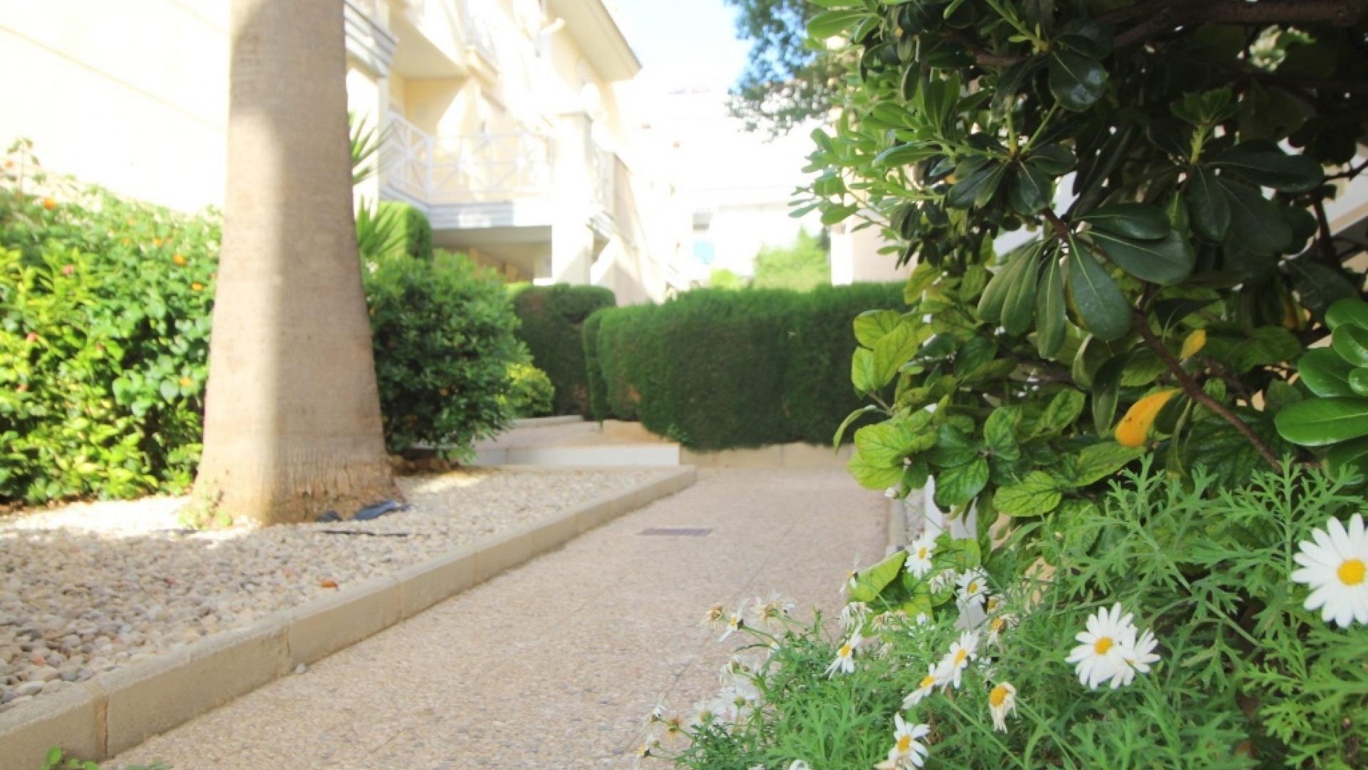 Återförsäljning - Lägenhet - Torrevieja - La Veleta