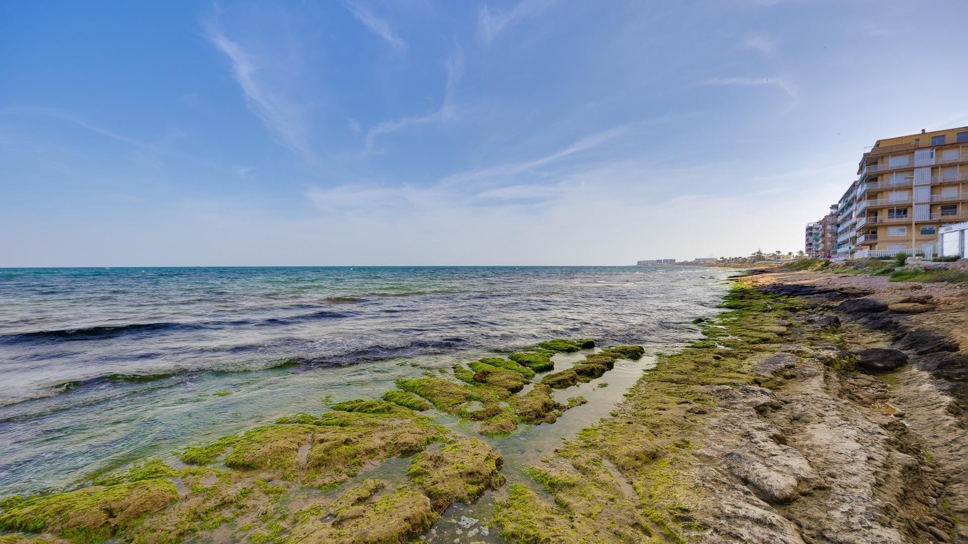 Återförsäljning - Lägenhet - Torrevieja - Playa de los Naufragos