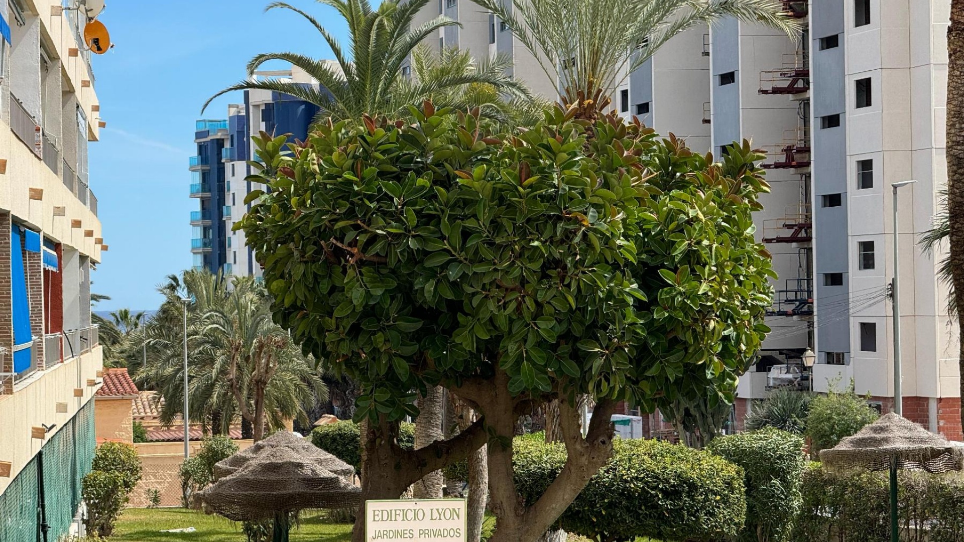 Återförsäljning - Lägenhet - Torrevieja - Punta Prima