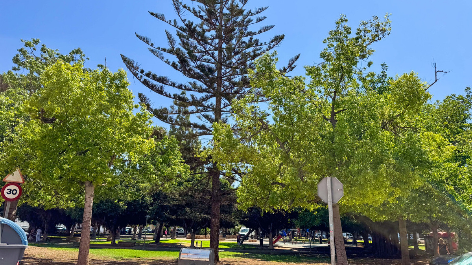 Återförsäljning - Lägenhet - Torrevieja - Torrevieja Centro
