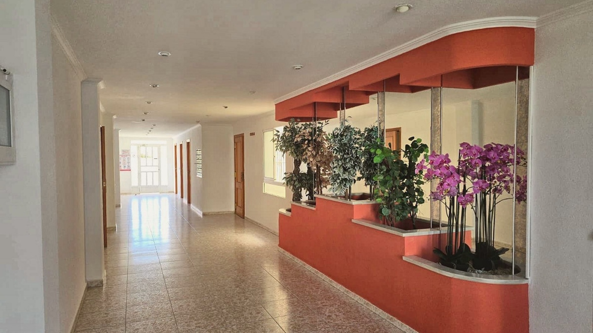 Återförsäljning - Lägenhet - Torrevieja - Torrevieja Centro