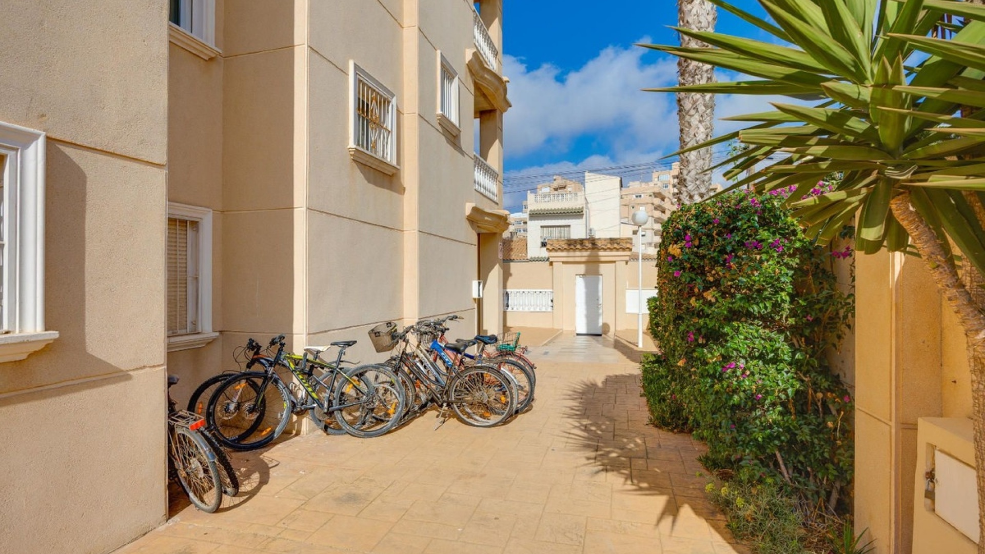 Återförsäljning - Lägenhet - Torrevieja - Torrevieja Centro