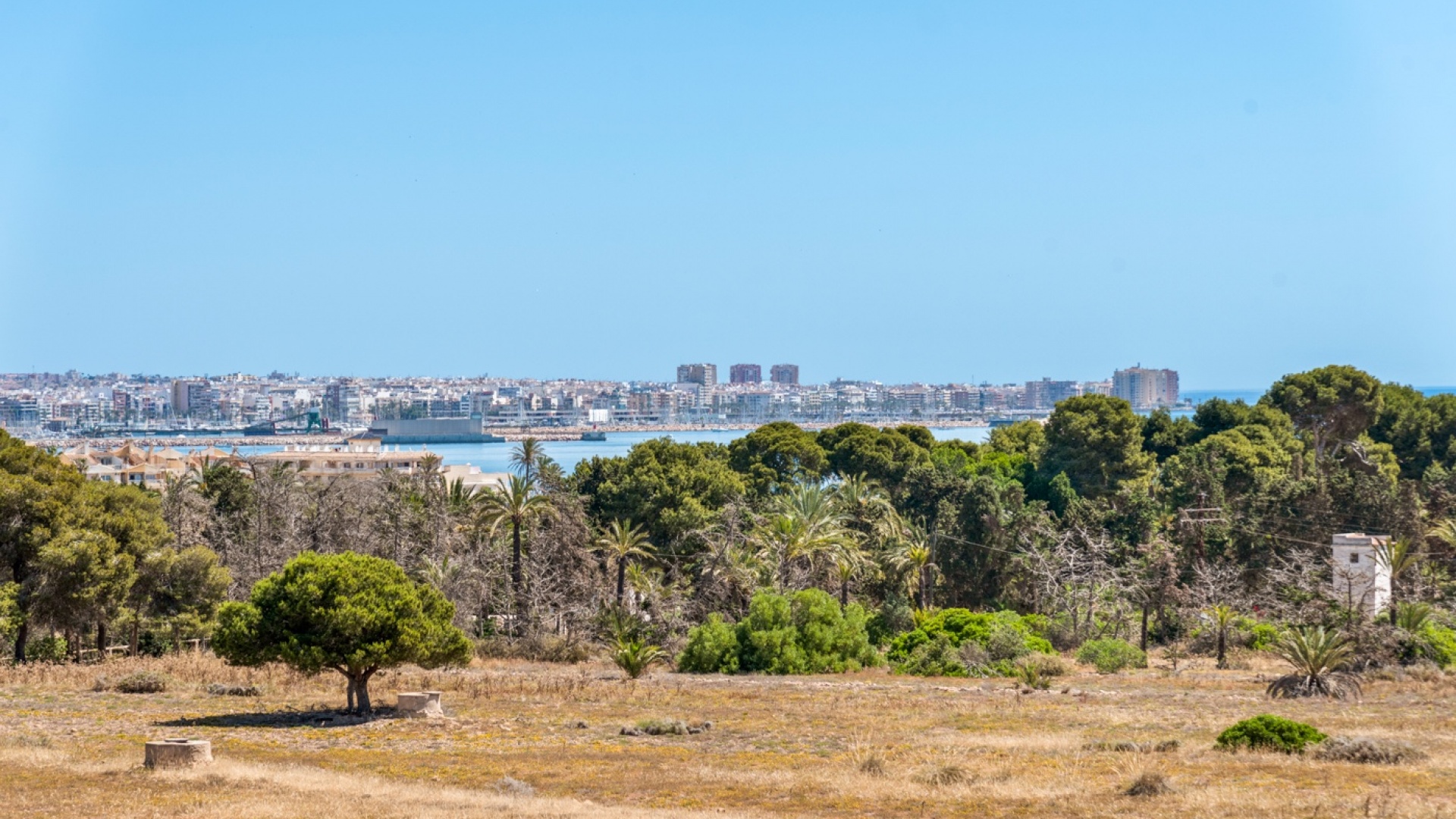 Återförsäljning - Lägenhet - Torrevieja